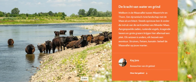 Open Monumentendag bij de Hompesche Molen