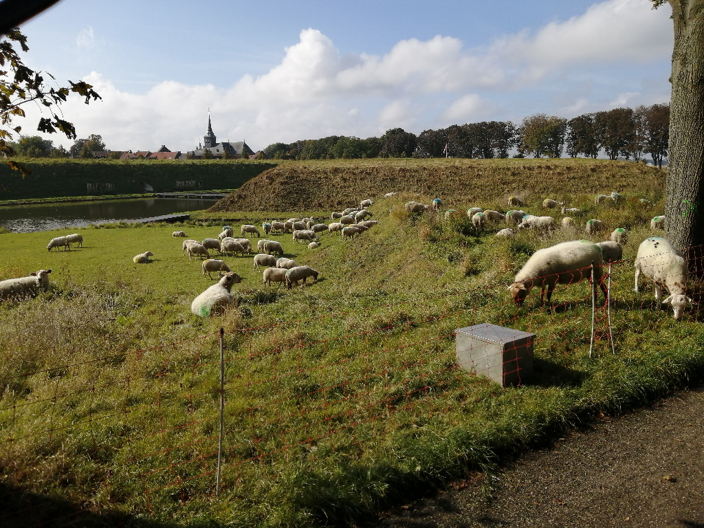 1/11 Wandeling door Stevensweert