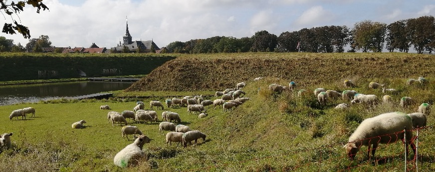 1/11 Wandeling door Stevensweert